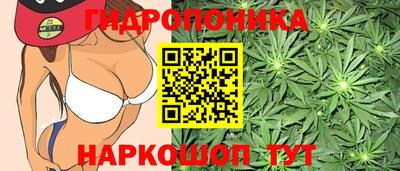 mix Будённовск