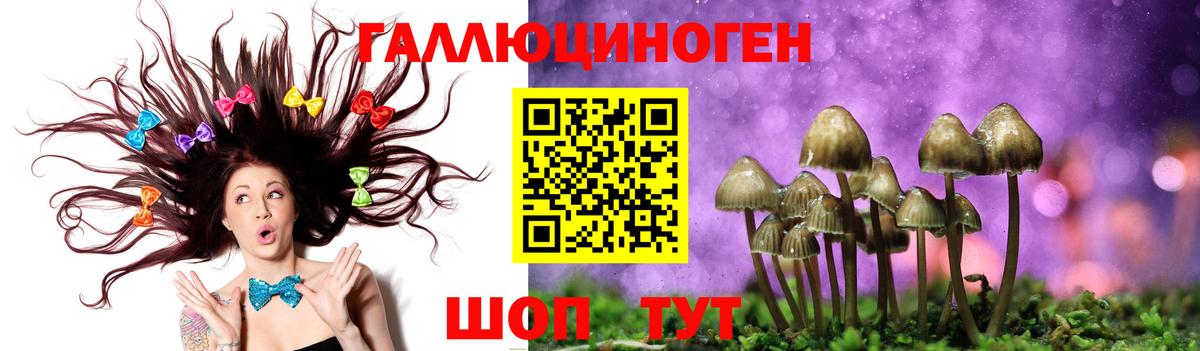 Полысаево  Псилоцибиновые грибы Magic Shrooms  Вход с VPN 